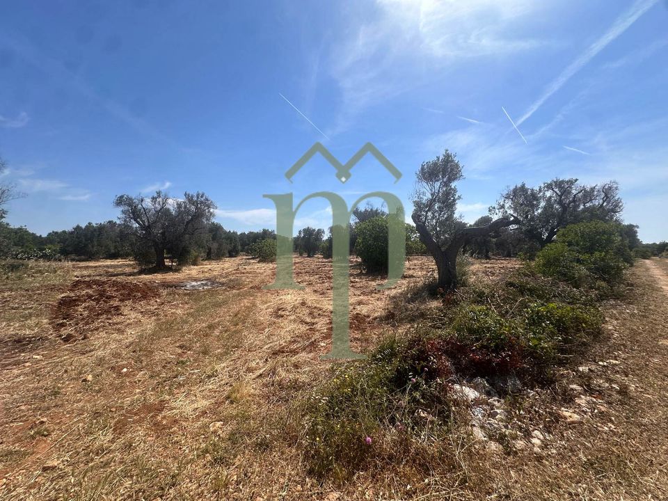 Helårsgrund i Carovigno, Brindisi - foto 1